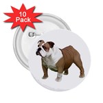 British Bulldog Gifts BW 2.25  Button (10 pack)