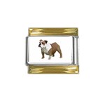 British Bulldog Gifts BW Gold Trim Italian Charm (9mm)