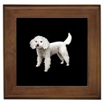 White Poodle Dog Gifts BB Framed Tile