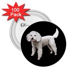 White Poodle Dog Gifts BB 2.25  Button (100 pack)