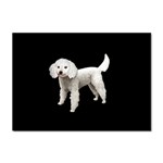 White Poodle Dog Gifts BB Sticker A4 (10 pack)