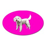 White Poodle Dog Gifts BP Magnet (Oval)