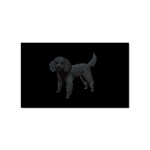 Black Poodle Dog Gifts BB Sticker Rectangular (100 pack)