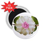 Love Flower 2.25  Magnet (10 pack)