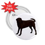 Chocolate Labrador Retriever 2.25  Button (100 pack)
