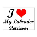 I Love My Labrador Retriever Sticker A4 (10 pack)