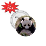 Big Panda 1.75  Button (10 pack) 