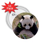 Big Panda 2.25  Button (10 pack)