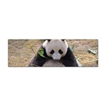 Big Panda Sticker Bumper (100 pack)