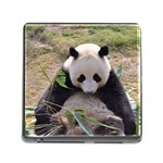 Big Panda Memory Card Reader with Storage (Square)