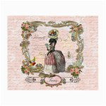 Black Poodle Marie Antoinette Glasses Cloth (Small, Two Sides)