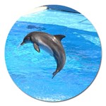 Jumping Dolphin Magnet 5  (Round)