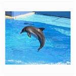 Jumping Dolphin Glasses Cloth (Small)