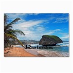 Beach Boulder Barbados Postcard 4 x 6  (Pkg of 10)