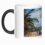 Beach Boulder Barbados Morph Mug