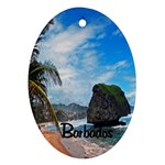 Beach Boulder Barbados Oval Ornament (Two Sides)