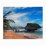 Beach Boulder Barbados Glasses Cloth (Small, Two Sides)