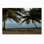 Pelican Beach Belize Postcard 4 x 6  (Pkg of 10)