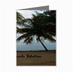 Pelican Beach Belize Mini Greeting Card
