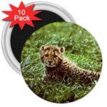 Cheetah  3  Magnet (10 pack)