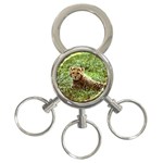 Cheetah  3-Ring Key Chain