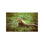 Cheetah  Sticker (Rectangular)