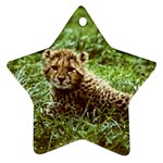 Cheetah  Star Ornament (Two Sides)