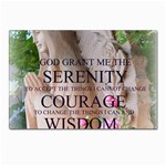 Serenity Prayer Roses Postcard 4 x 6  (Pkg of 10)