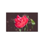 Red flower Sticker (Rectangular)