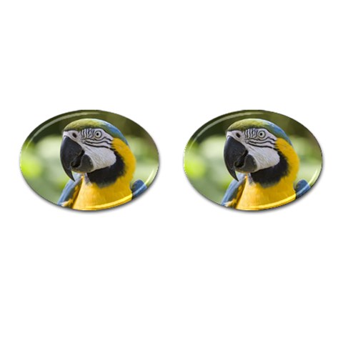 Parrot Cufflinks (Oval) from UrbanLoad.com Front(Pair)