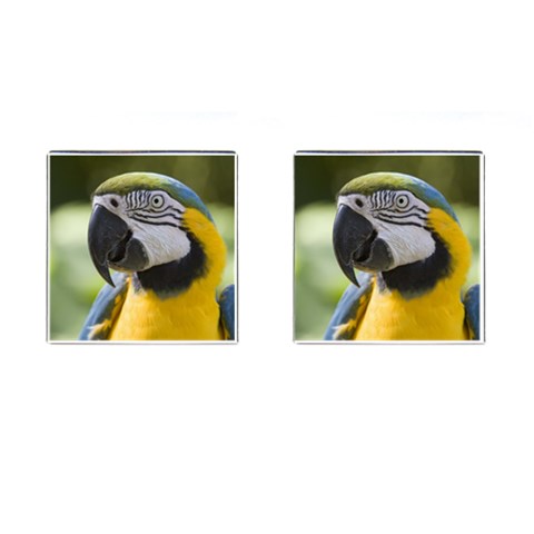 Parrot Cufflinks (Square) from UrbanLoad.com Front(Pair)