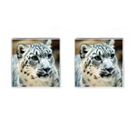 Snow Leopard Cat Cufflinks (Square)