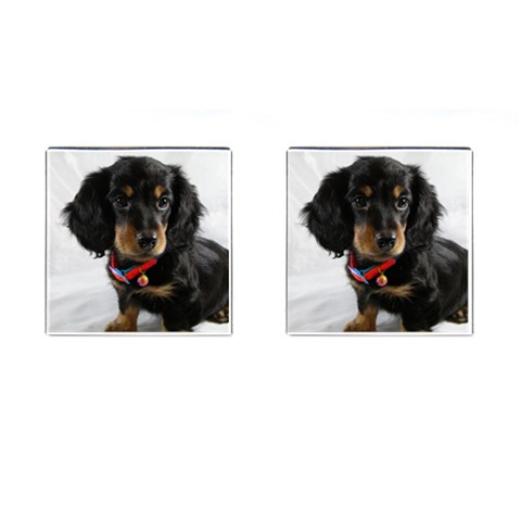 Dachshund Dog Cufflinks (Square) from UrbanLoad.com Front(Pair)
