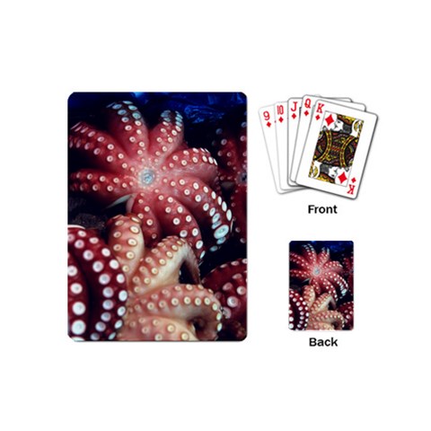 Octopus Playing Cards (Mini) from UrbanLoad.com Back