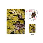 Coral 6 Playing Cards (Mini)