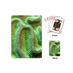 Brain Coral Playing Cards (Mini)