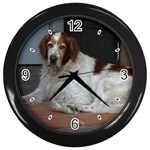 Irish Red And White Setter Dog Wall Clock (Black)