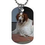 Irish Red And White Setter Dog Dog Tag (One Side)