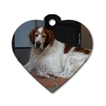Irish Red And White Setter Dog Dog Tag Heart (One Side)