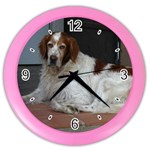 Irish Red And White Setter Dog Color Wall Clock