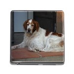 Irish Red And White Setter Dog Memory Card Reader with Storage (Square)