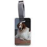Irish Red And White Setter Dog Luggage Tag (one side)