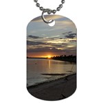 Tampa Dog Tag (One Side)