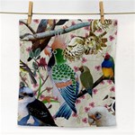 Pretty Birdies Medium Face Towel